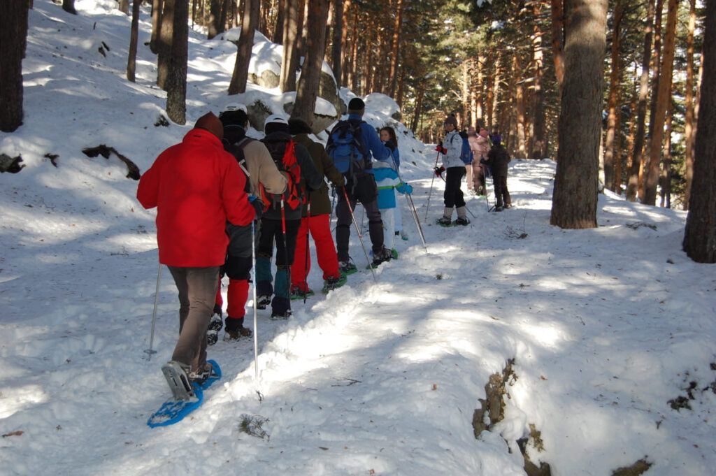 DSC_0003 excursiones en la nieve