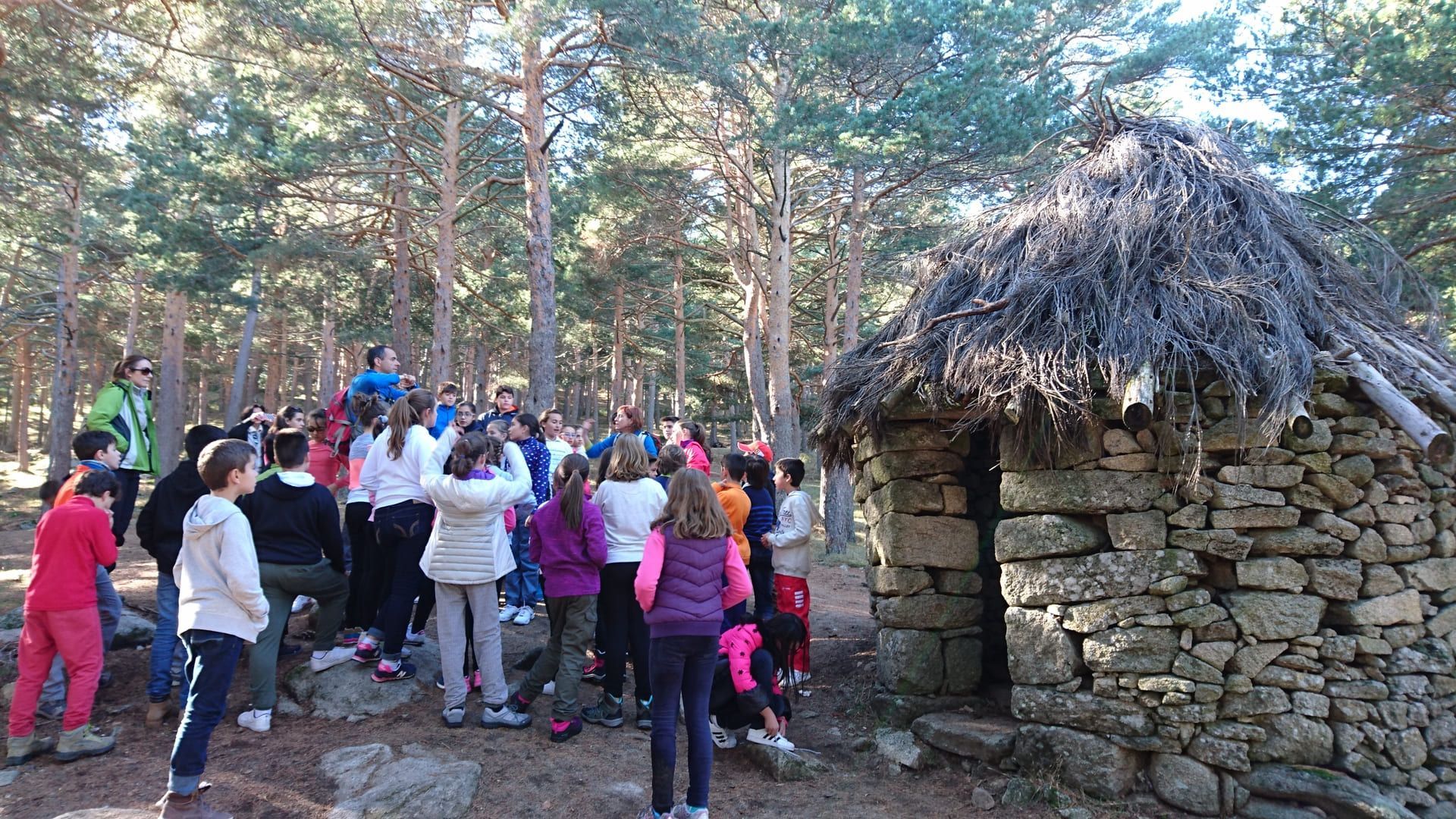 Salidas escolares naturaleza Madrid: Rutas y consejos clave