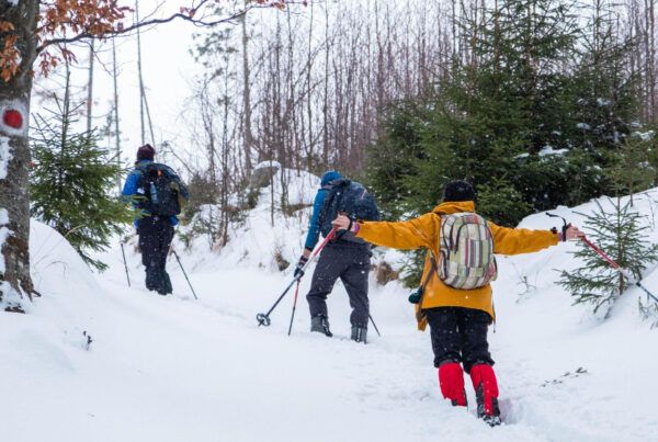 Excursiones con raquetas de nieve Madrid_ planazo en 1 día