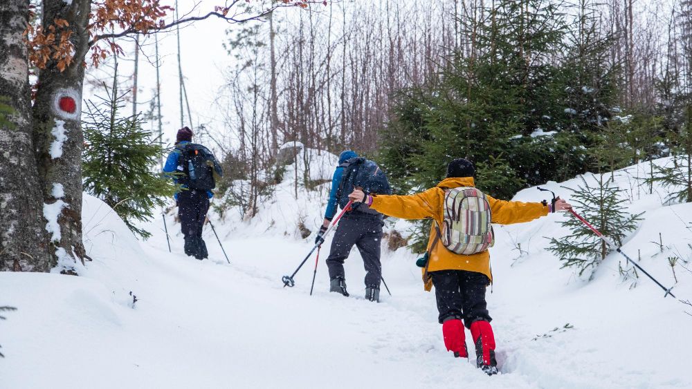 Excursiones con raquetas de nieve Madrid_ planazo en 1 día