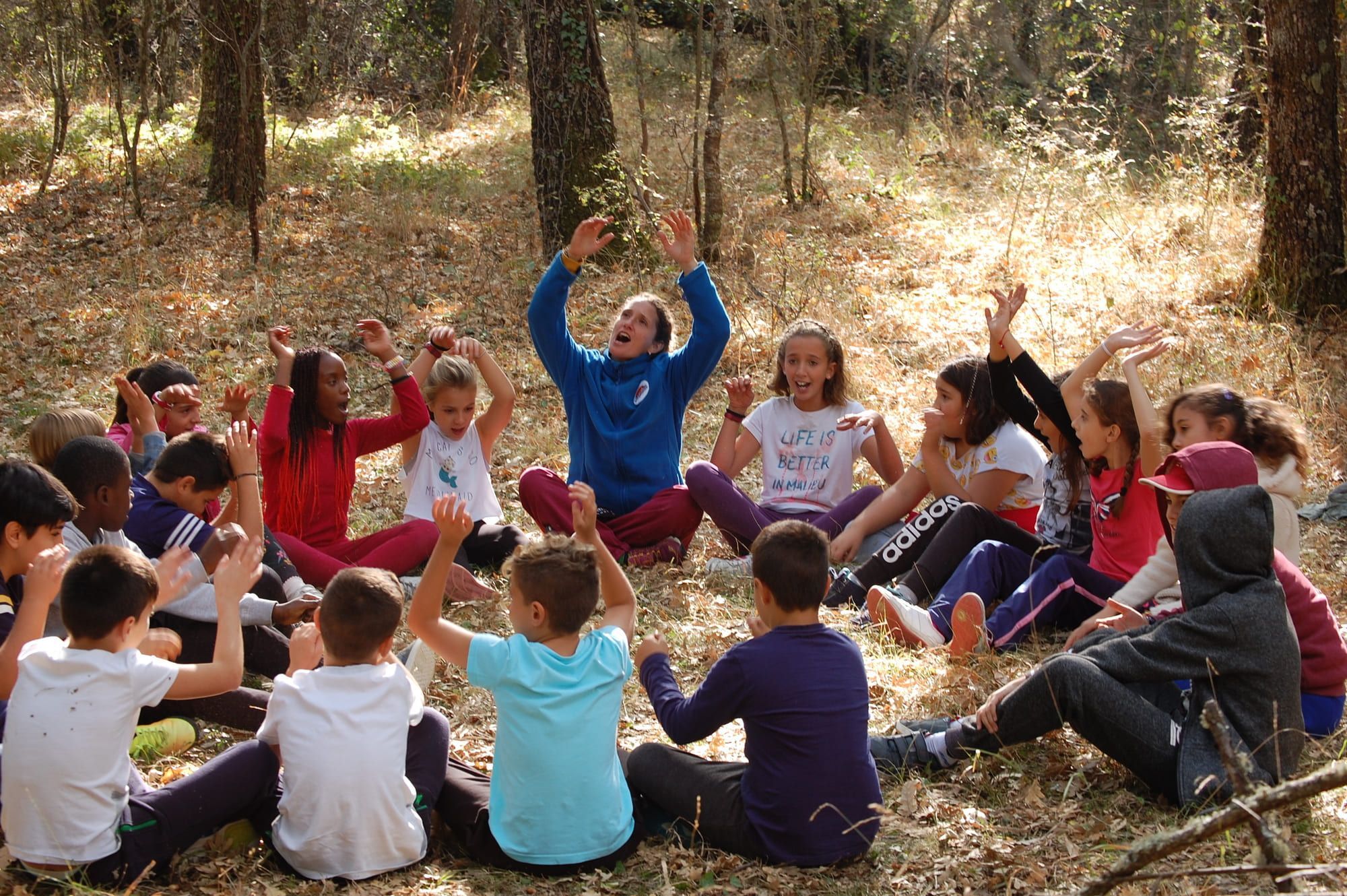 Actividades outdoor para colegios: Sierra de Madrid top