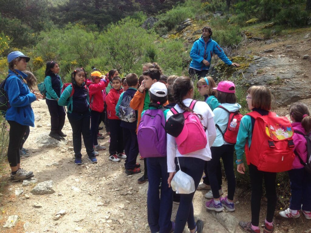 Planifica excursiones escolares sin errores ni prisas