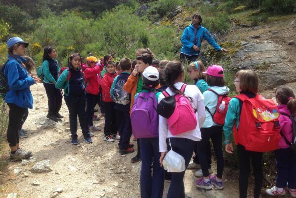 Planifica excursiones escolares sin errores ni prisas