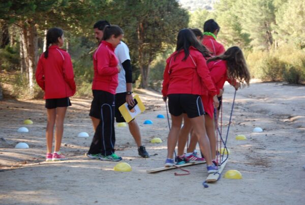 Excursiones de un día en Madrid éxito asegurado