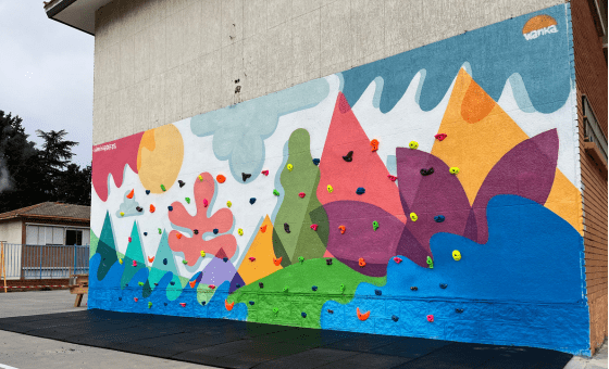 ¿Cuánto cuesta instalar un rocódromo escolar? Guía realista
